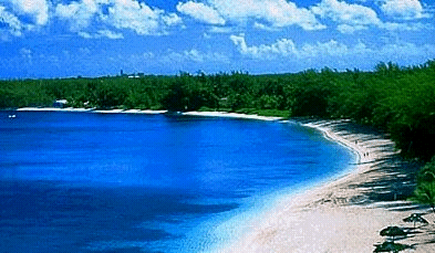 Plage Bahamas.gif (59709 bytes)