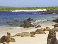 Spanish language schools in Ecuador Galapagos